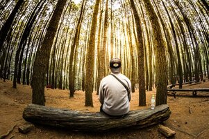 Zen, méditation, forêt